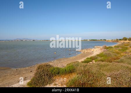 Tigaki Salzsee (Alykes) auf der Insel Kos. Griechenland Stockfoto