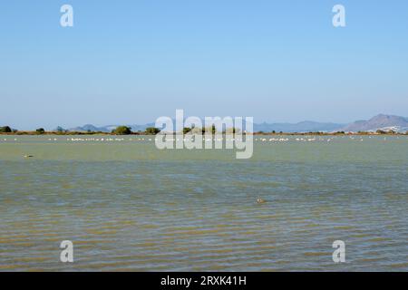 Tigaki Salzsee (Alykes) auf der Insel Kos. Griechenland Stockfoto