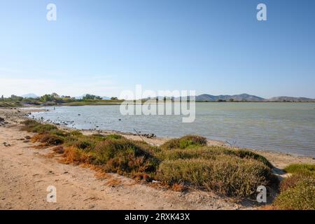 Tigaki Salzsee (Alykes) auf der Insel Kos. Griechenland Stockfoto