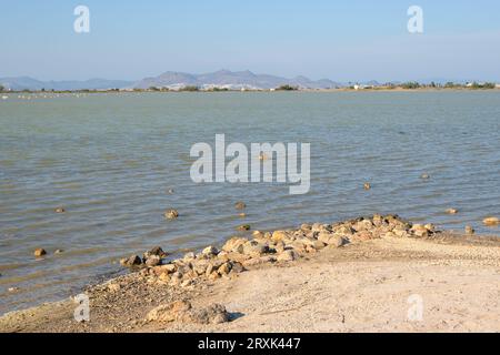 Tigaki Salzsee (Alykes) auf der Insel Kos. Griechenland Stockfoto