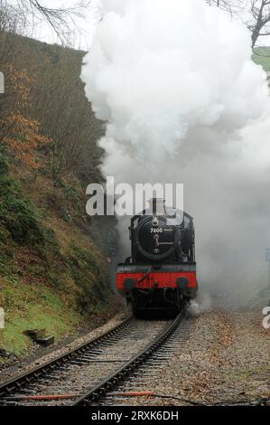 „Lydham Manor“ (läuft als Klassenpionier 7800 „Torquay Manor“) am Greenway Tunnel. Stockfoto