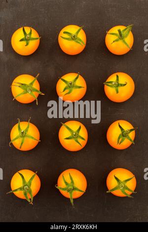 Erste Preisklasse mit Cherry Tomatoes Grow by John Lowe auf der Malvern Herbstshow. Die dreitägige Malvern Autumn Show auf dem Three Counties Showground, Malvern, Worcestershire, England, Großbritannien. Stockfoto