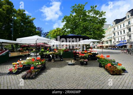 Ein Markt für frische Produkte im Gustav Adolfs torg in der historischen Altstadt von Malmö, Schweden. Stockfoto