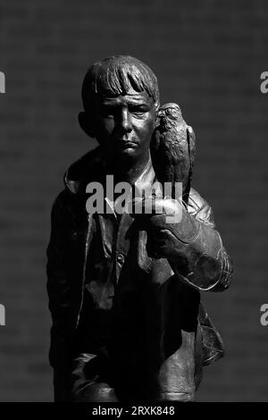 Eine Skulptur Billy Casper aus dem Film „Kes“, die in Barnsley zu Ehren des Drehbuchautors Barry Hines installiert wurde Stockfoto