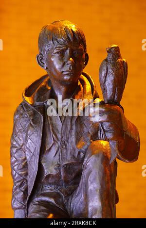 Eine Skulptur Billy Casper aus dem Film „Kes“, die in Barnsley zu Ehren des Drehbuchautors Barry Hines installiert wurde Stockfoto