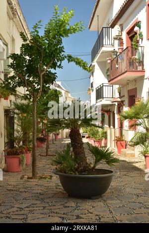 Estepona, charmante Altstadt einer spanischen Stadt an der Costa del Sol an einem Sommerferientag. Stockfoto