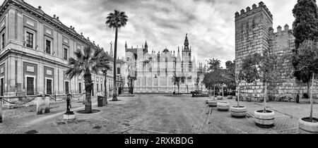 Topfbäume vor dem königlichen Alcazar von Sevilla, Sevilla, Andalusien, Spanien Stockfoto