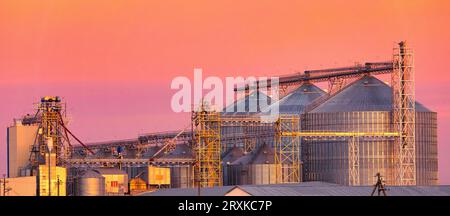 Dawn's Light on the Harvest: Die Eleganz eines Getreideaufzugs Stockfoto