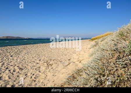 Tigaki Strand, sehr langer und schöner Sandstrand auf der Insel Kos. Griechenland Stockfoto