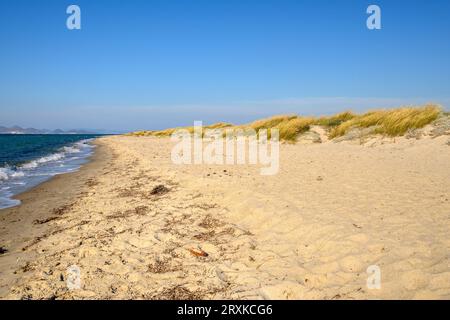 Tigaki Strand, sehr langer und schöner Sandstrand auf der Insel Kos. Griechenland Stockfoto