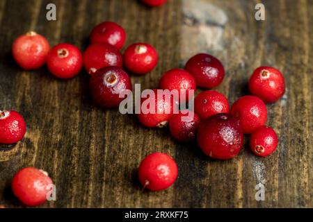 Rote wilde Cranberrys bedeckt mit Wassertropfen, frische reife Cranberrys mit Tropfen reinen Wassers Stockfoto