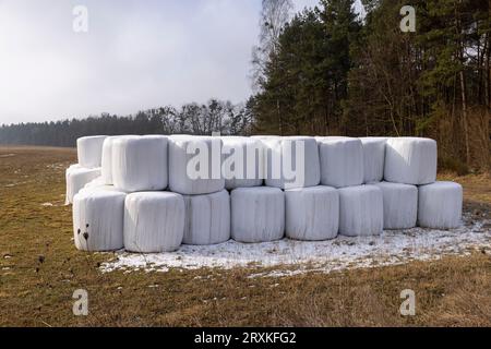 Weiße Kunststoffverpackung für Heu während der Lagerung im Winter, alte schmutzige Heuballen in Kunststoff für die Dauer der Lagerung von Tierfutter Stockfoto