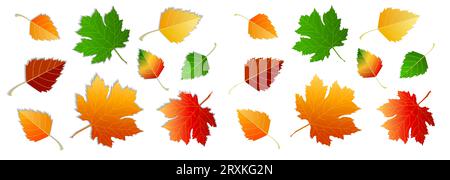 Set aus Herbstblättern, verschiedene Farben auf weißem und transparentem Hintergrund, mit Schatten und ohne Schatten. Konzept - Herbst, Herbststimmung. Isolierter Herbst Stock Vektor