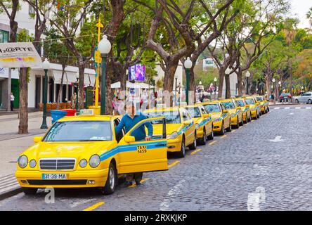 Funchal, Portugal - 14. Juni 2013: Row of Yellow Taxi Cabs auf den Straßen der Stadt Funchal, Hauptstadt der Insel Madeira, Portugal Stockfoto