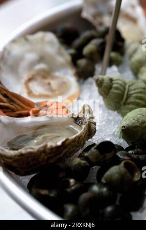 Nahaufnahme der Meeresfrüchte auf Eis Stockfoto