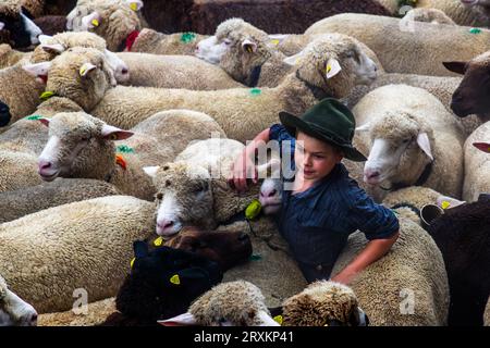 Schafscheid ist das fest nach dem Abgang der Schafe vom Sommeraufenthalt auf der Alm. Sie wird jedes Jahr an einem Montag im September in Jaun, Schweiz, gefeiert Stockfoto