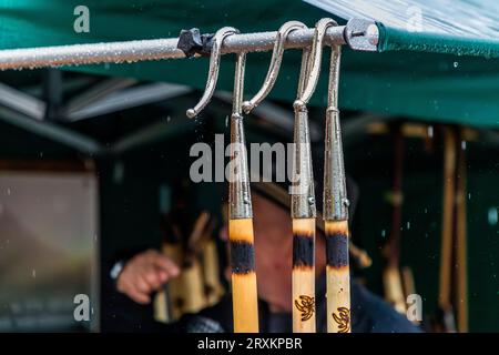 Schafscheid ist das fest nach dem Abgang der Schafe vom Sommeraufenthalt auf der Alm. Sie wird jedes Jahr an einem Montag im September in Jaun, Schweiz, gefeiert Stockfoto