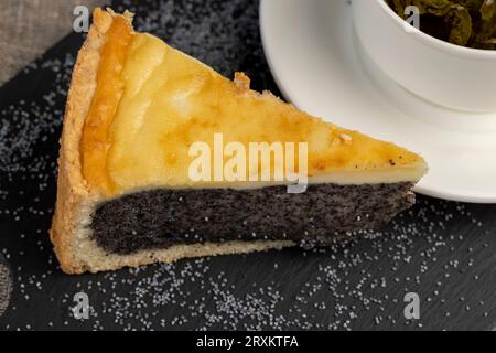 Köstlicher Mohnkuchen mit einem dünnen Biskuitkuchen und viel Mohnfüllung, ein köstliches Dessert aus Biskuitkuchen und süßer Mohnfüllung Stockfoto