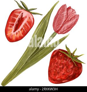 Set von Aquarellbildern, isoliert auf weißem Hintergrund, ganze und geschnittene Erdbeeren, Blumen, Tulpe in Aquarell. Botanische Hand gezeichnet illust Stockfoto