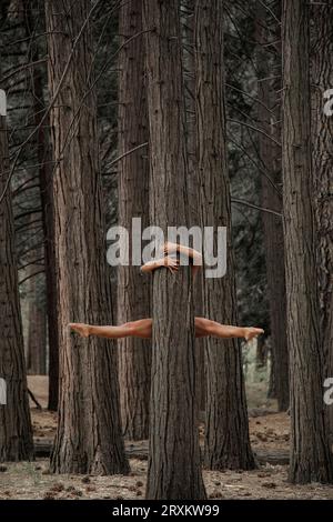 Arme und Beine einer Frau einen Baum umarmen Stockfoto