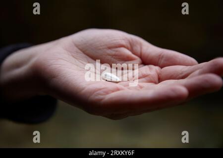 Hand halten Saatgut Stockfoto