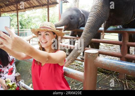 Junge Frau von selfie neben Elefanten in Ko Samui, Thailand Stockfoto