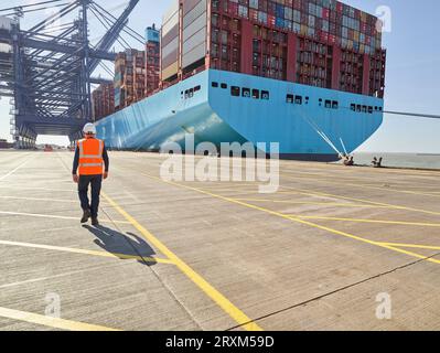 Hafenarbeiter durch Frachter im Hafen von Felixstowe, England Stockfoto
