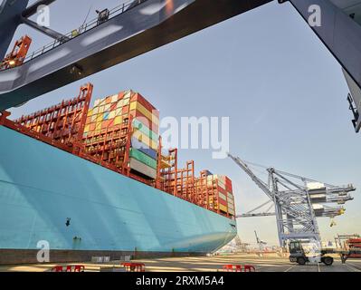 Schiff im Hafen von Felixstowe, England Stockfoto