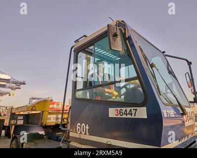 Fahrer im Fahrzeug am Hafen von Felixstowe, England Stockfoto