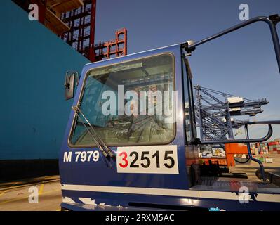 Fahrer im Fahrzeug am Hafen von Felixstowe, England Stockfoto