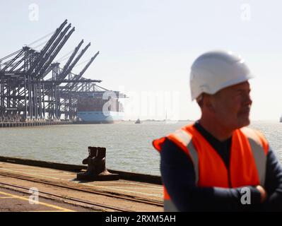 Krane und Frachter im Hafen von Felixstowe, England Stockfoto