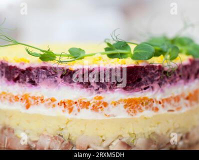 Traditioneller Salat mit Hering, Mayonnaise, Eiern, gekochten Rüben und Karotten, traditioneller Salat mit gesalzenem Hering, dekoriert für den Urlaub Stockfoto