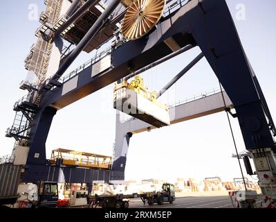 Kran abladen Cargo Container im Hafen von Felixstowe, England Stockfoto