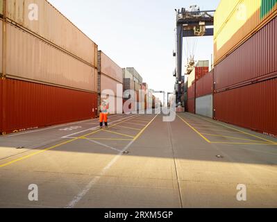 Hafenarbeiter Prüfung Cargo Container im Hafen von Felixstowe, England Stockfoto
