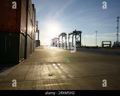 Cargo Container und Kräne im Hafen von Felixstowe, England Stockfoto