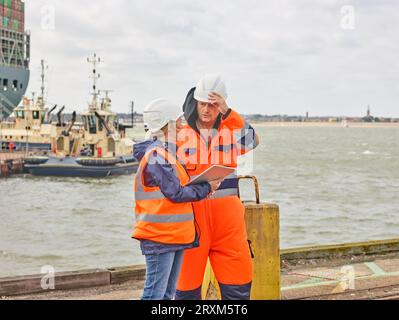 Hafenarbeiter mit digitalen Tablet am Hafen von Felixstowe, England Stockfoto