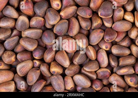 Ungeschälte Pinienkerne auf dem Tisch, ein Haufen Pinienkerne in der Schale Stockfoto