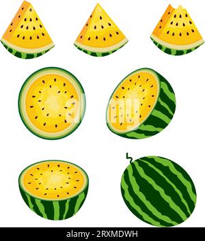 Frische und saftige ganze Wassermelonen und Scheiben. Set von Reifen gelben Wassermelonenbeeren. Vektorillustration. Stock Vektor