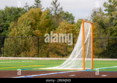 Foto eines Lacrosse-Tores auf einem leeren grünen Kunstrasenfeld. Stockfoto