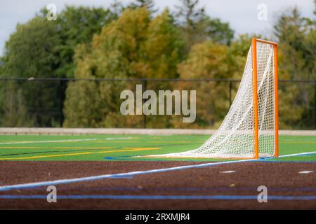 Foto eines Lacrosse-Tores auf einem leeren grünen Kunstrasenfeld. Stockfoto