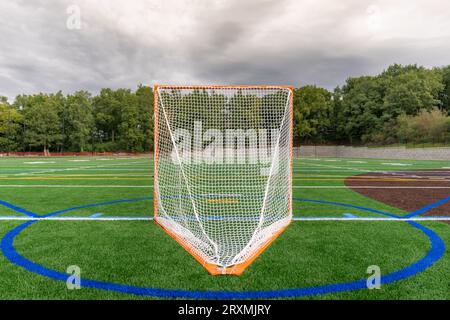 Foto eines Lacrosse-Tores auf einem leeren grünen Kunstrasenfeld. Stockfoto