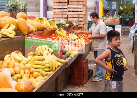 Mérida, Yucatan, Mexiko, lokaler Gemüsehändler, der Gemüse Obst auf mercado (Markt) verkauft, nur redaktionell. Stockfoto