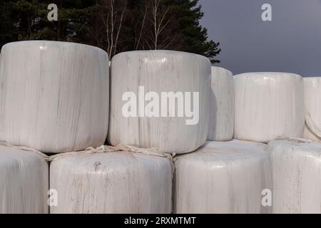 Weiße Kunststoffverpackung für Heu während der Lagerung im Winter, alte schmutzige Heuballen in Kunststoff für die Dauer der Lagerung von Tierfutter Stockfoto