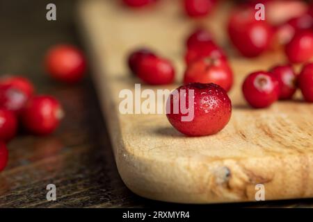 Rote wilde Cranberrys bedeckt mit Wassertropfen, frische reife Cranberrys mit Tropfen reinen Wassers Stockfoto