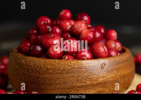 Rote wilde Cranberrys bedeckt mit Wassertropfen, frische reife Cranberrys mit Tropfen reinen Wassers Stockfoto