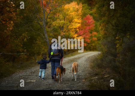 Familie mit podenco-Hunden, die im Herbst über einen Pfad in den Bergen spazieren Stockfoto