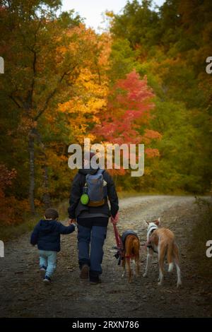 Familie mit podenco-Hunden, die im Herbst über einen Pfad in den Bergen spazieren Stockfoto