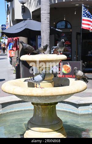 HUNTINGTON BEACH, KALIFORNIEN, 11. August 2023: Tauben am Springbrunnen an der Main Street Stockfoto