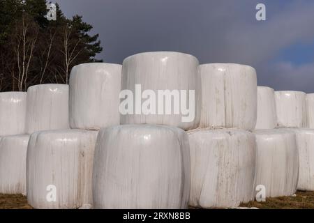 Weiße Kunststoffverpackung für Heu während der Lagerung im Winter, alte schmutzige Heuballen in Kunststoff für die Dauer der Lagerung von Tierfutter Stockfoto