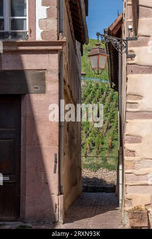 Die Weinstraße. Blick auf eine typische bunte Straße in der Innenstadt mit Weinbergen im Hintergrund Stockfoto